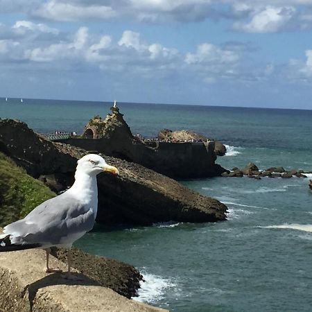 Charmant T2 Biarritz Centre Exteriér fotografie
