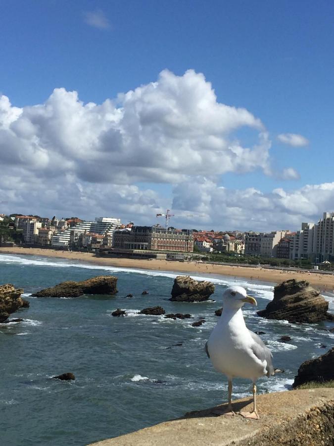 Charmant T2 Biarritz Centre Exteriér fotografie